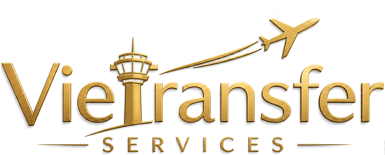 VieTransfer Logo